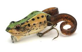 Berkley | Pop Frog - Image 4
