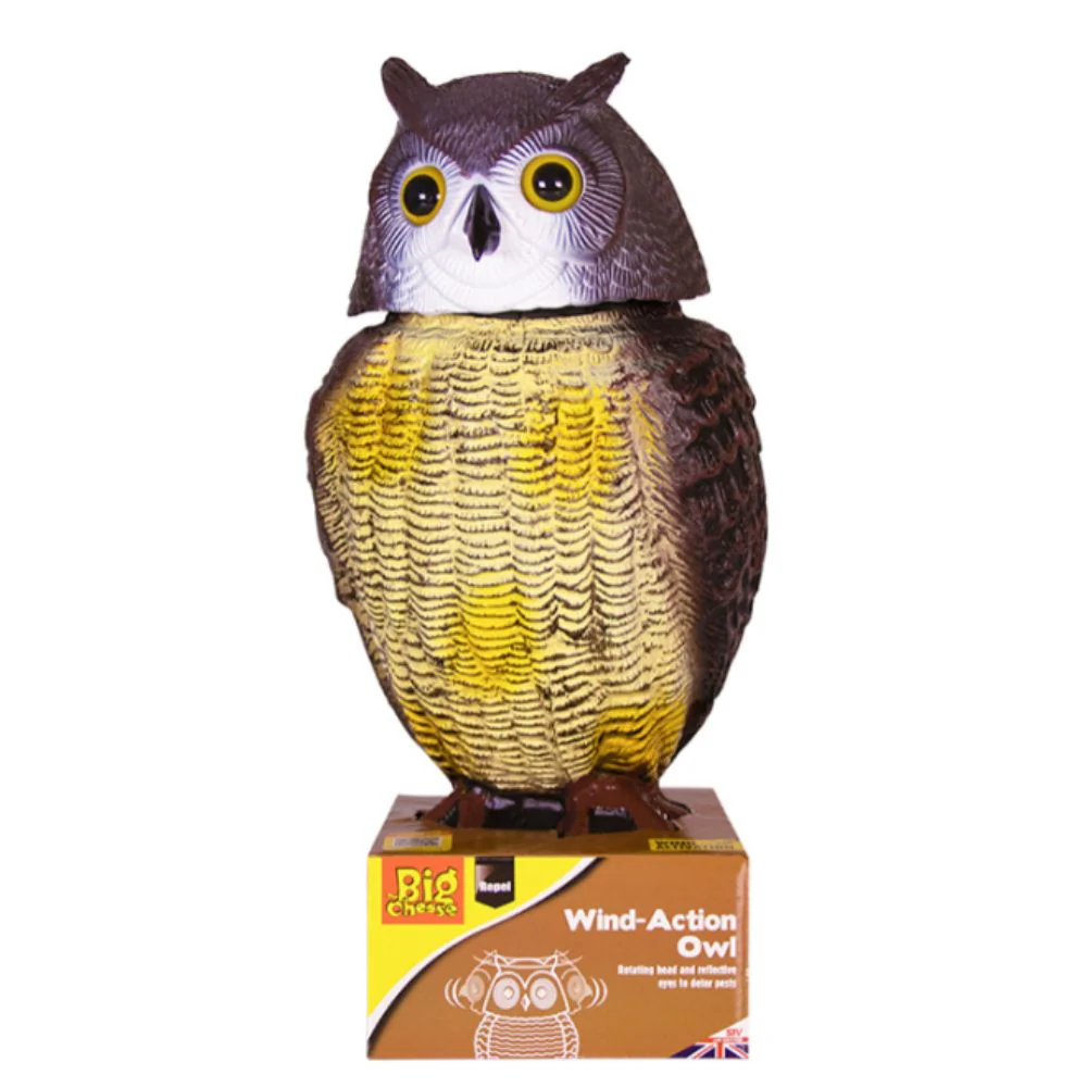 Big Cheese | Wind Action Owl