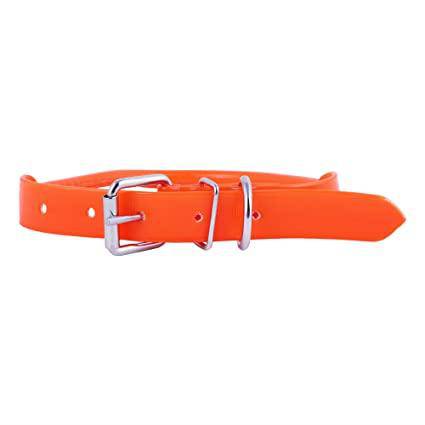 Bright Orange Dog Collar