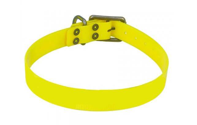 Bright Yellow Rubber Dog Collar
