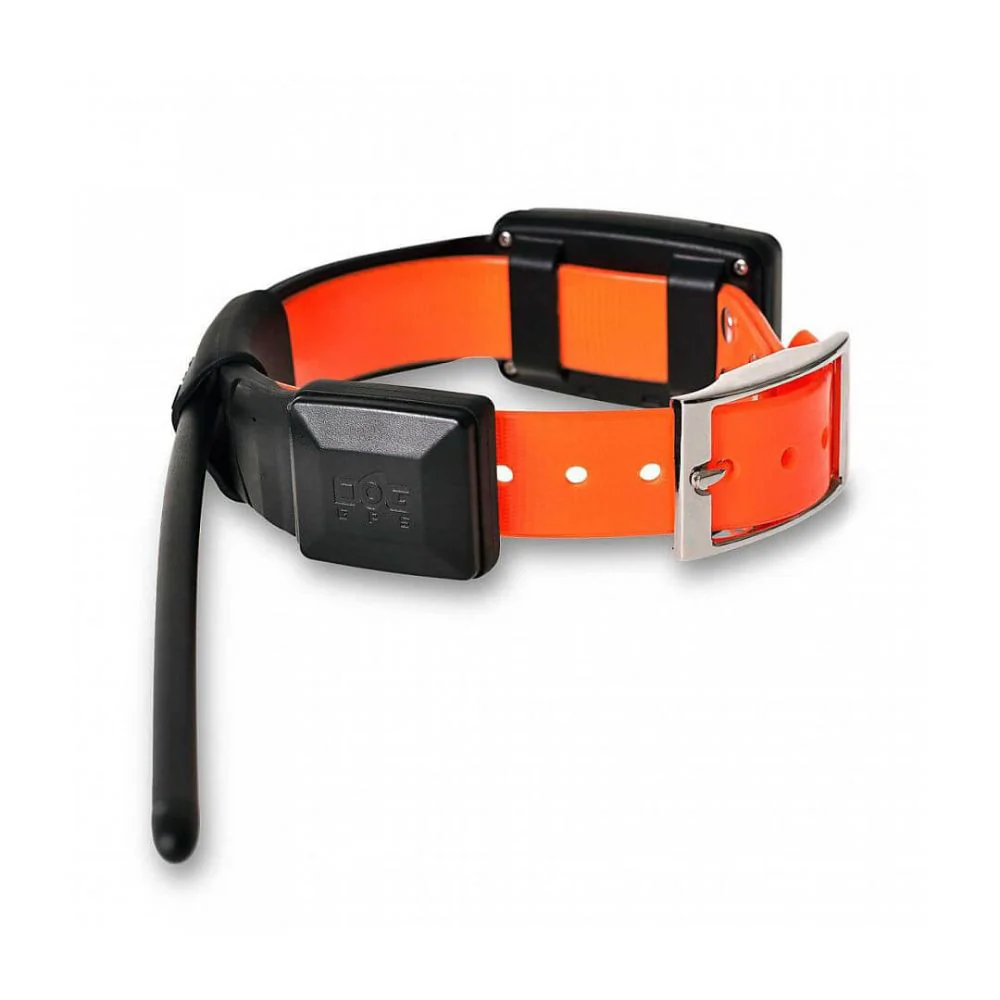 Dog Trace | Tracking system DOG GPS X25 | Orange - Image 5