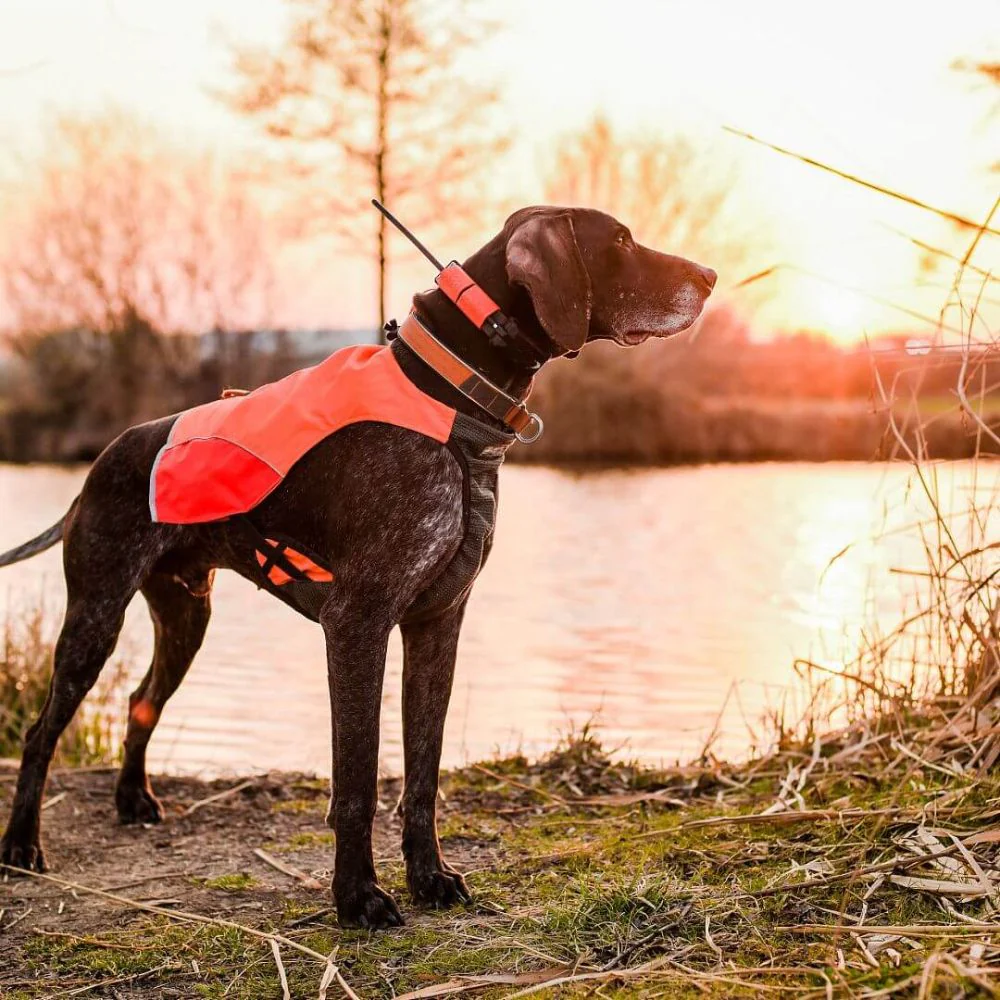 Dog Trace | Tracking system DOG GPS X25 | Orange - Image 9