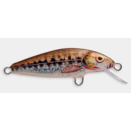 Dorado | Classic Floating Lure | 5cm | BKK Hooks - Image 8