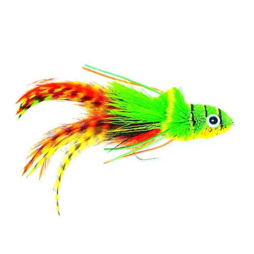 Fulling Mill | Swimming Frog Orange Belly