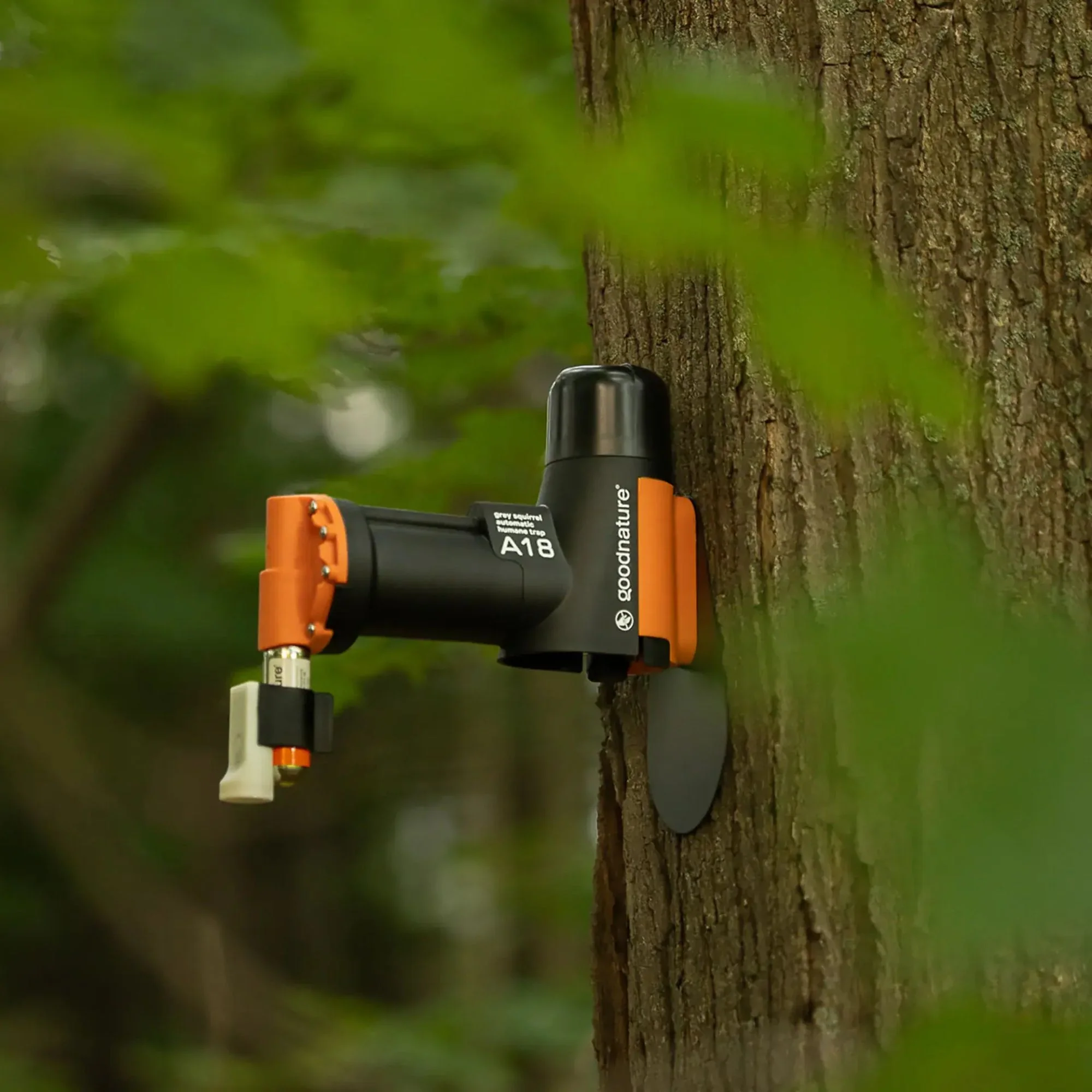 Goodnature | A18 Grey Squirrel Trap Kit - Image 4