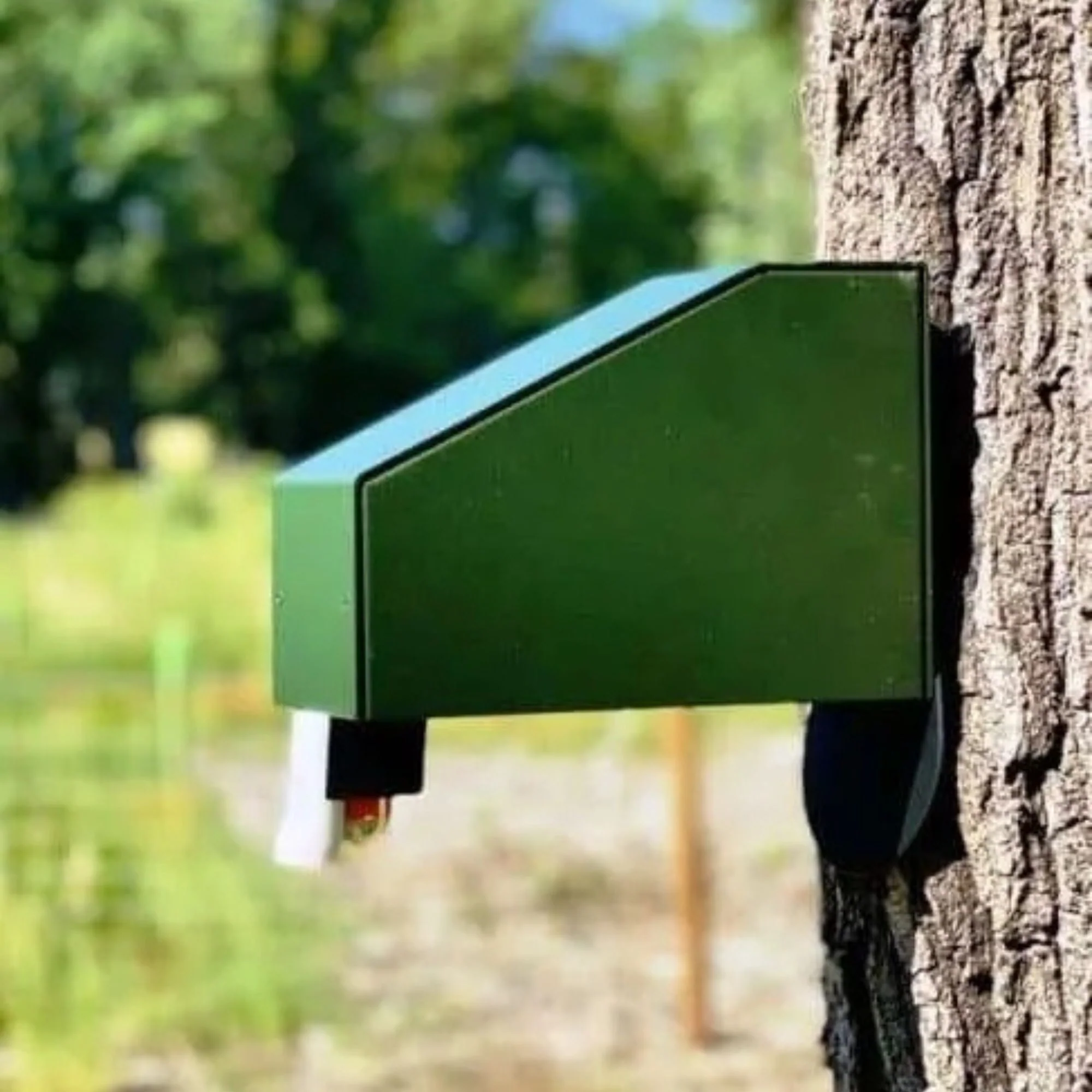 Goodnature | A18 Trap Guard – Green