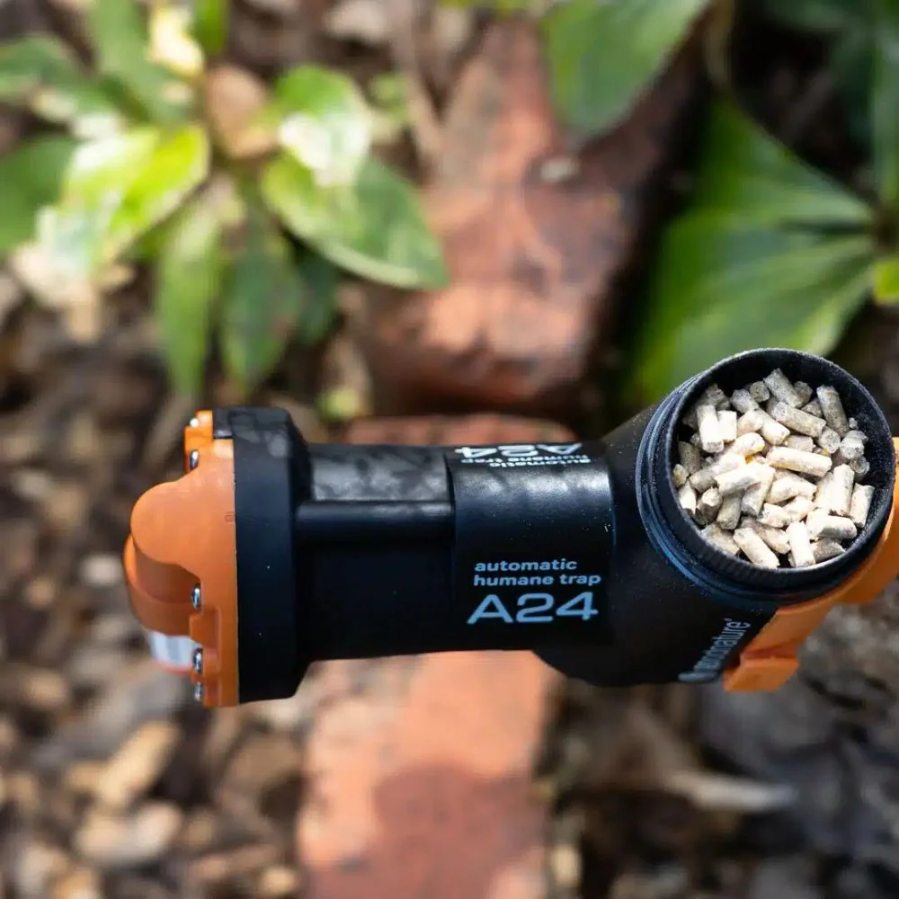 Goodnature | A24 Rat & Mouse Starter Kit - Image 3