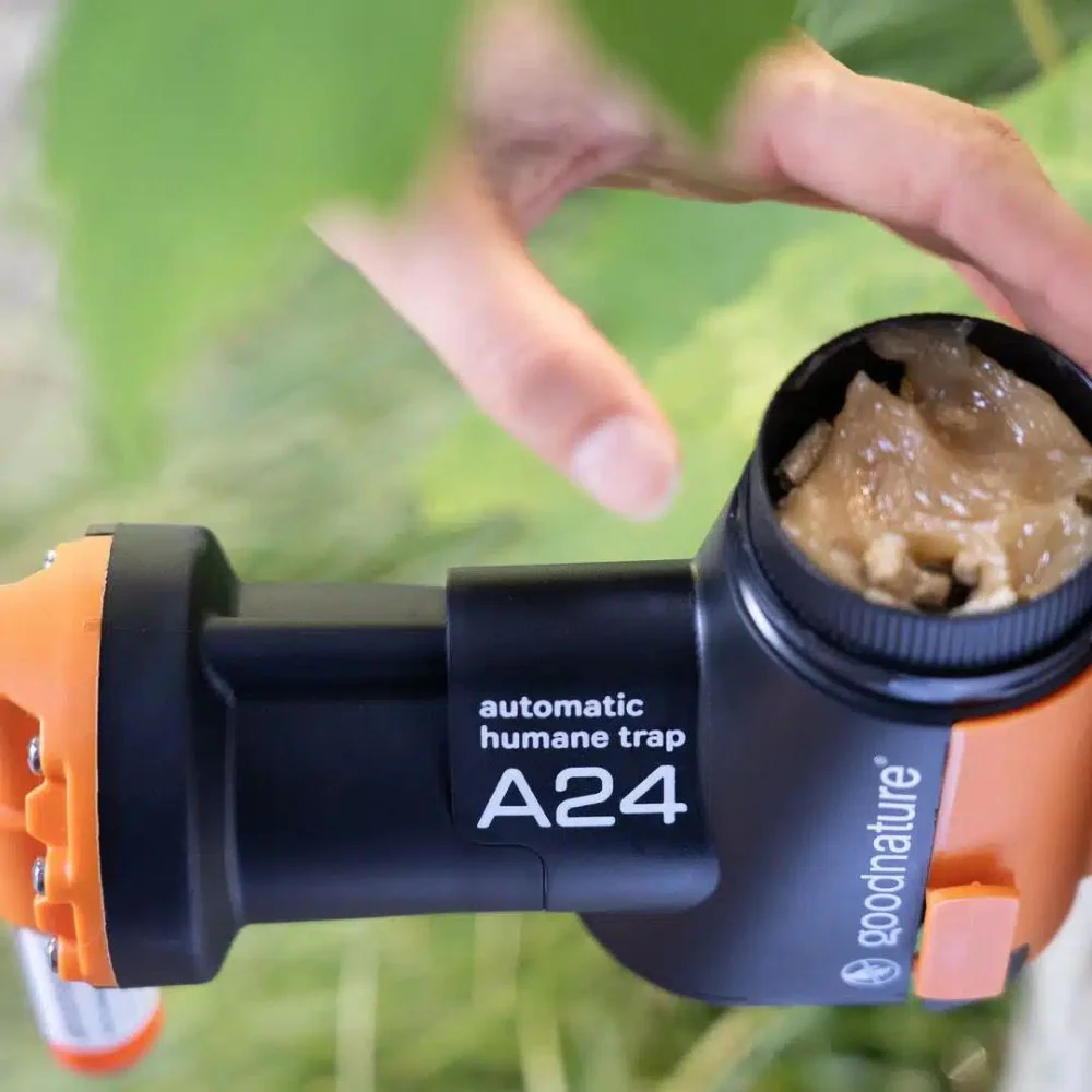 Goodnature | A24 Rat & Mouse Starter Kit - Image 4