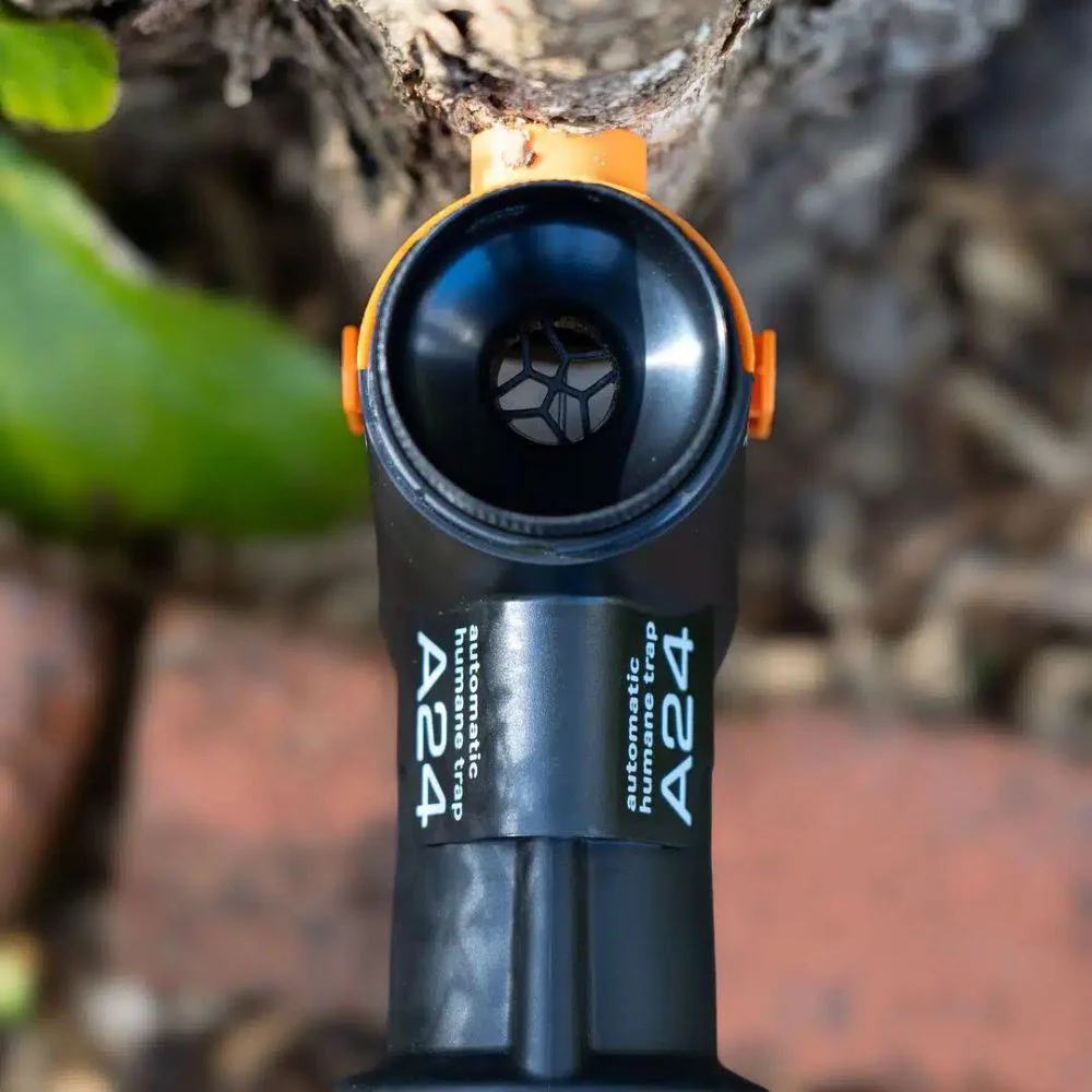 Goodnature | A24 Rat & Mouse Starter Kit - Image 6