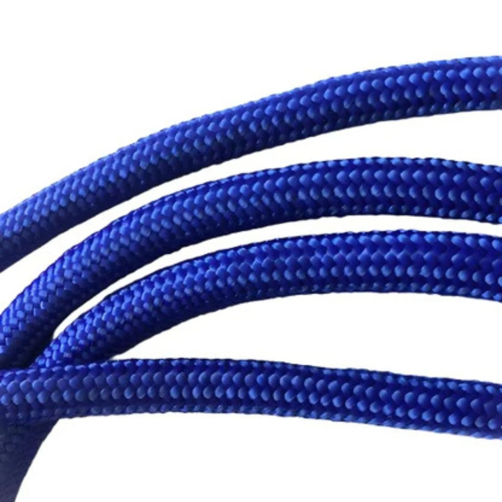 Halter Dog Leads | 8mm | Blue