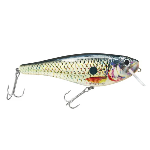 Hester | Monster Shad | 128g | 20cm - Image 4