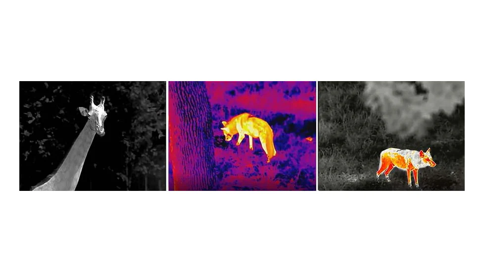 InfiRay | C2w Thermal Monocular - Image 2