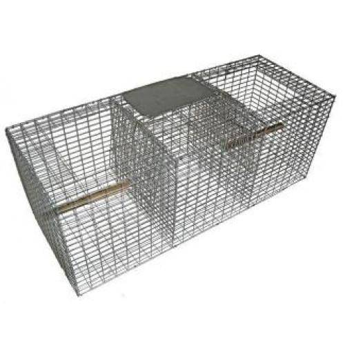 Larsen Trap