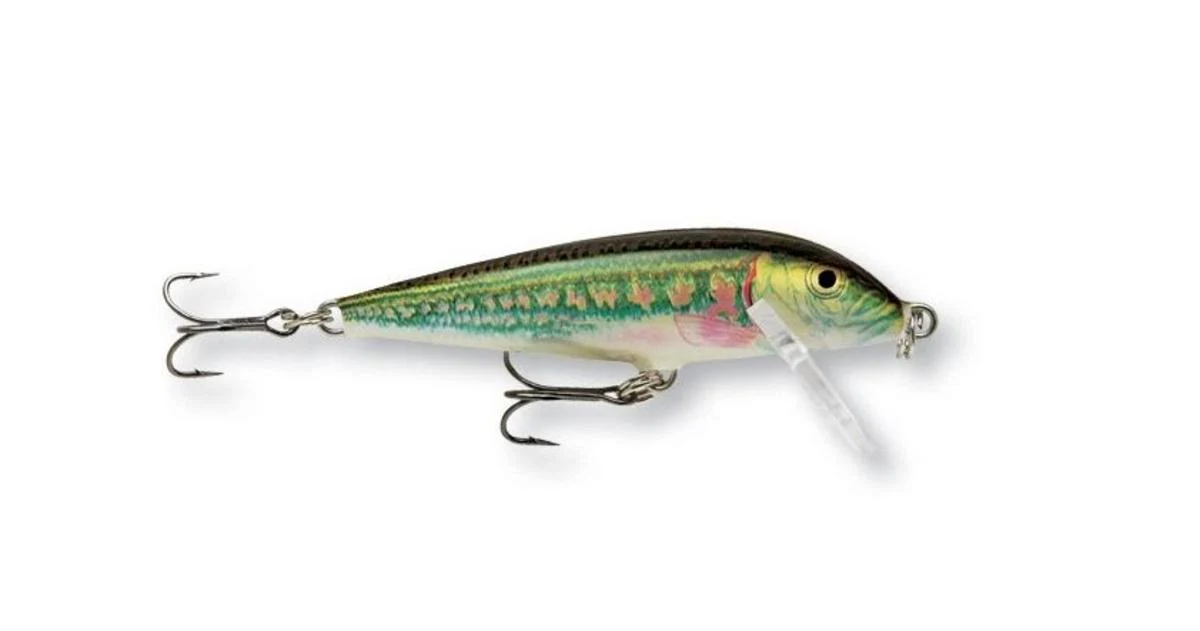 Rapala | Countdown Sinking Lure | 12g | 9cm - Image 9