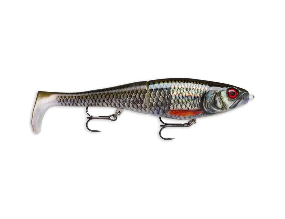 Rapala | X-Rap Peto 20cm Slow Sinking | Live Roach