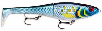 Rapala | X-Rap Peto | Slow Sinking | 14cm - Image 16