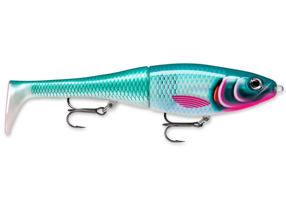 Rapala | X-Rap Peto | Slow Sinking | 20cm - Image 15