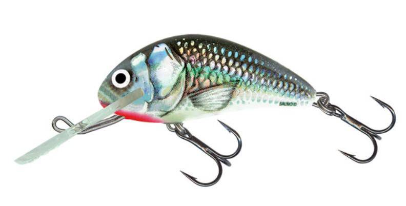 Salmo | Hornet Floating Lure | 6cm