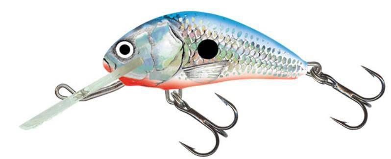 Salmo | Hornet Floating Lure | 6cm - Image 2