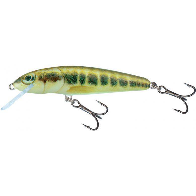 Salmo | Minnow | Floating | 5cm | 3g - Image 5