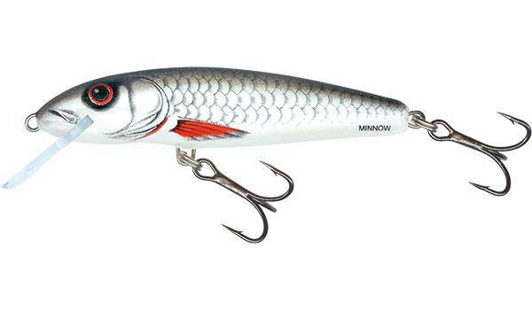 Salmo | Minnow | Floating | 7cm | 6g