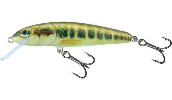 Salmo | Minnow | Floating | 7cm | 6g - Image 3