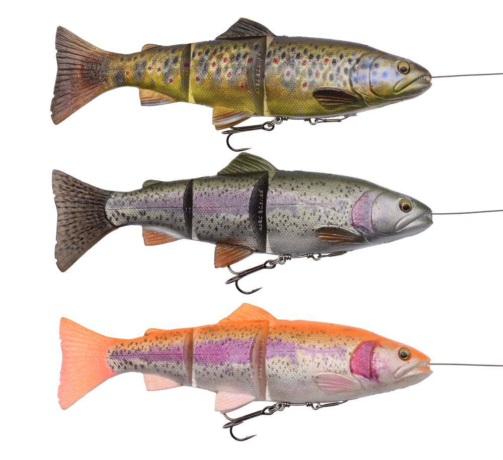Savage Gear | 4d Line Thru Trout | 25cm | 193g - Image 3