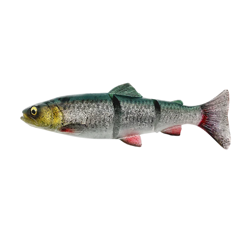 Savage Gear | 4D Linethru Trout | Slow Sinking | 180g | 25cm - Image 2