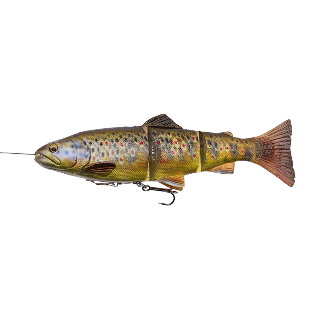 Savage Gear | 4D Linethru Trout | Slow Sinking | 180g | 25cm - Image 5