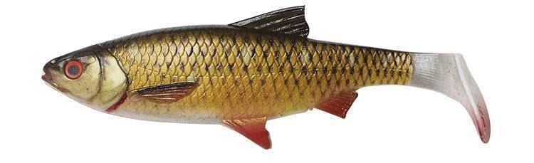 Savage Gear | 4D | River Roach | 18cm | 70g | Single - Image 2
