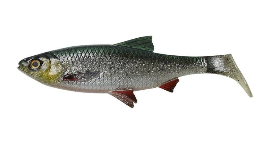 Savage Gear | 4D | River Roach | 18cm | 70g | Single - Image 8