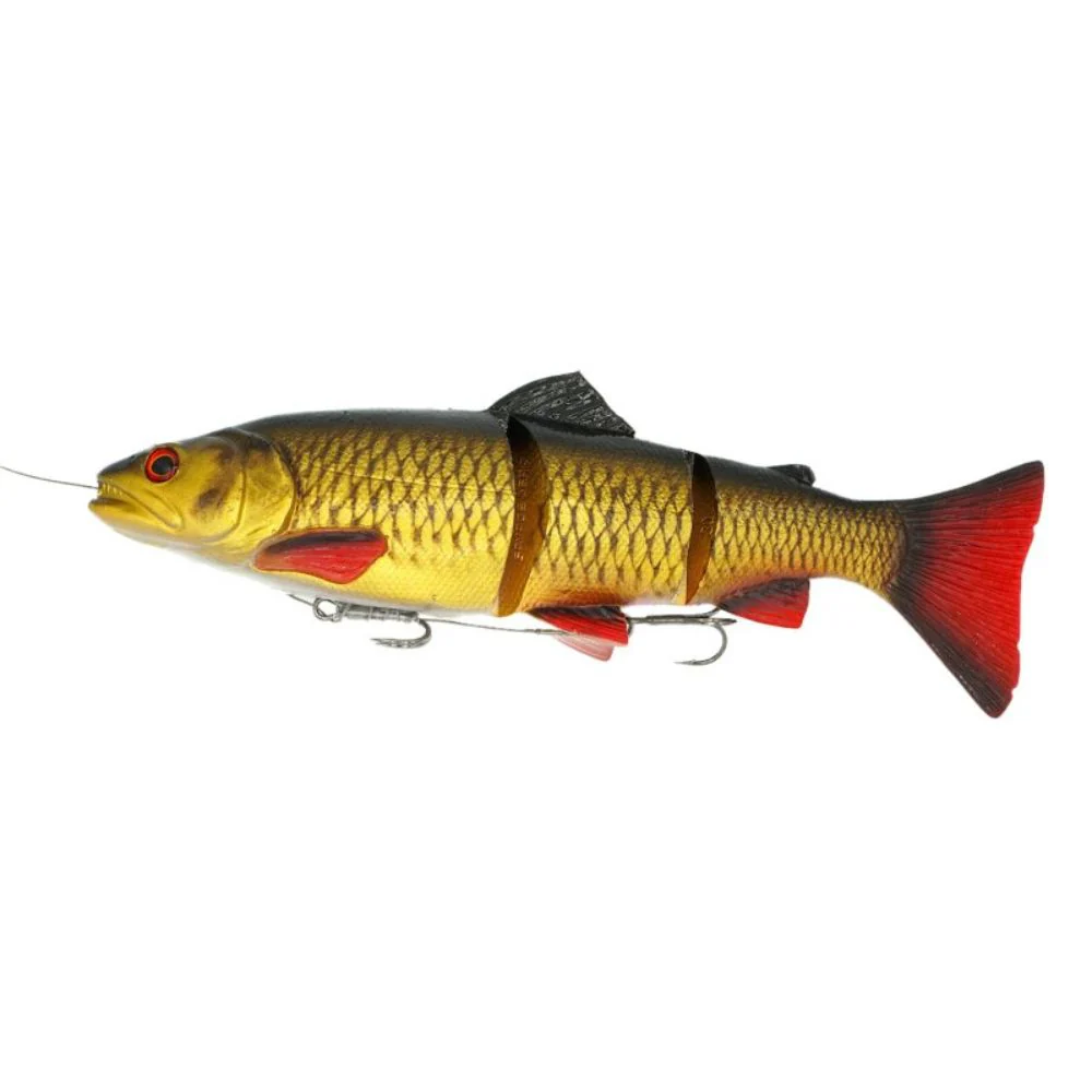 Savage Gear | 4D TD Line Thru Trout | Special Colours | 25cm | 193g | MS - Image 5