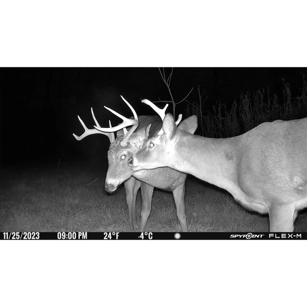 Spypoint® | FLEX-M Trail Camera - Image 6
