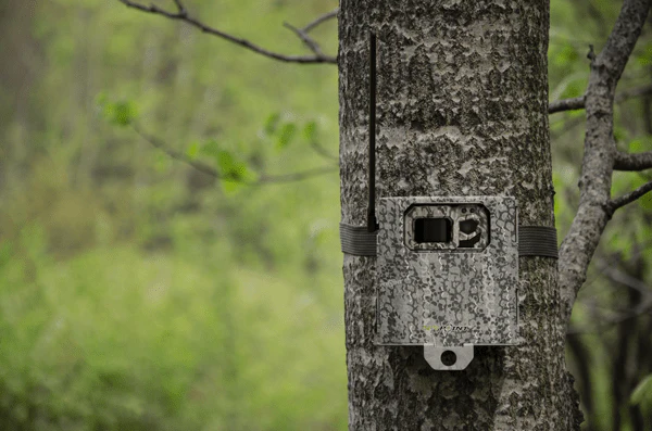 Spypoint | Steel Security Box