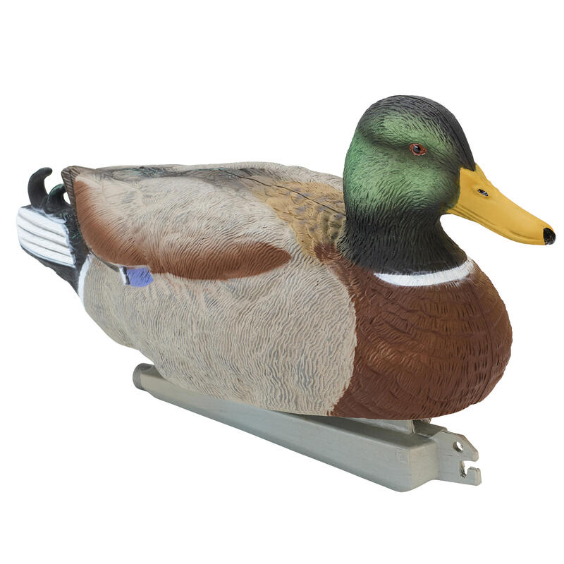 Stepland | Mallard Decoy Male HD