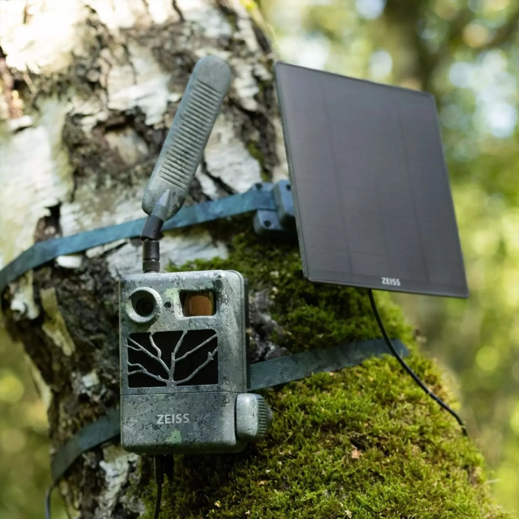 Zeiss | Solar Panel PRO | For Secacam Wildlife Cameras - Image 3